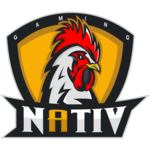 Teamlogo