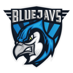 Teamlogo