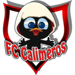 Teamlogo