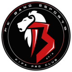 Teamlogo