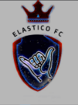 Teamlogo